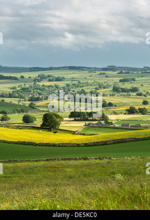 A view over the buttercup fields to Monyash, Peak District National Park, Derbyshire. England UK Stock Photo