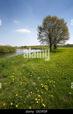 Hamm, Germany, landscape along the Lippeauenpfads Stock Photo