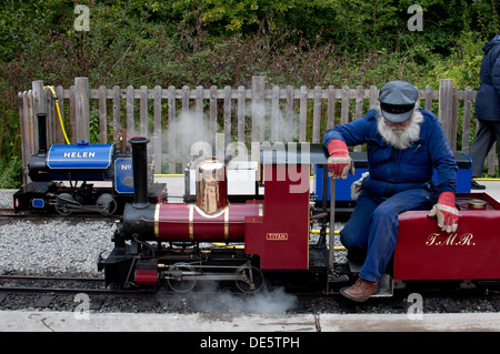 Echills Wood Railway, Kingsbury Water Park, Warwickshire, England, UK Stock Photo