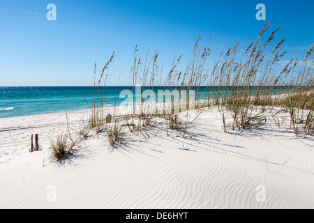 Erosion control fencing and sea grass protect the white sand beaches of Gulf Breeze, Florida Stock Photo