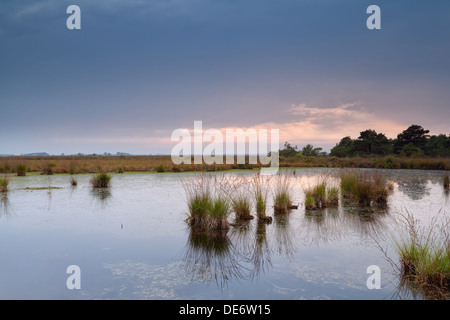 clouded gloomy sunset over wild lake, Fochteloerveen, Drenthe, Netherlands Stock Photo