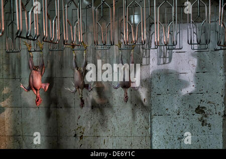 An Ultra orthodox Jew cast a shadow in a butchery where slaughtered chicken are hanged on hooks after the Kapparot ritual on Yom Kipur eve in Mea Shearim neighborhood, an ultra-Orthodox enclave in West Jerusalem Israel. In the Jewish religious practice of Kapparot, a rooster literally becomes a religious and sacred vessel and is swung around the head and then sacrificed on the afternoon before Yom Kippur, the Day of Atonement. Stock Photo