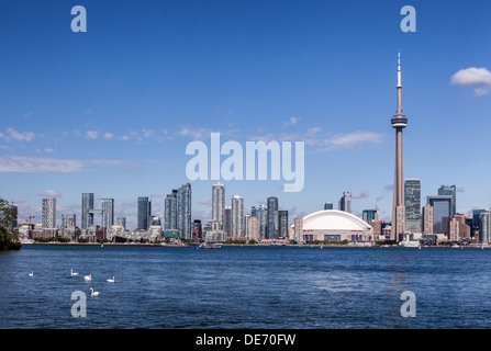 Blue sky view of Toronto skyline, Skyscrapers, Rogers centre, CN tower and swans from Lake Ontario - Canada Stock Photo