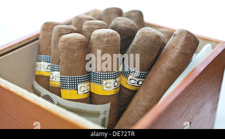 Box of Cohiba Cuban cigars Stock Photo