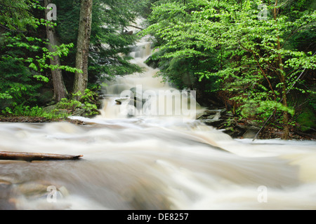 KITCHEN CREEK RICKETTS GLEN STATE PARK LUZERNE COUNTY PENNSYLVANIA USA Stock Photo