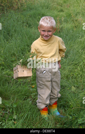 Stinging Nettle, harvest, reaping, Junge, Kind erntet Brennnesseln für Kräutersuppe, Brennessel, Brennnessel, Urtica dioica Stock Photo