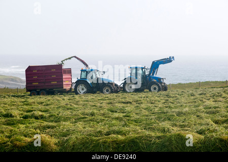 Forage harvesting on a misty day by the coast on Orkney. Stock Photo