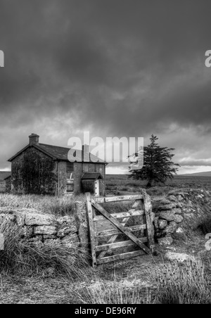 Nun's Cross Farm 'Ditsworthy Warren House', is an isolated, derelict old farmhouse near Princetown on Dartmoor Stock Photo