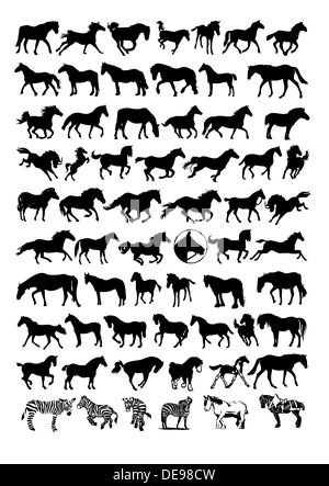 Vector horse silhouettes Stock Photo