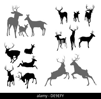 A set of deer silhouettes including fawn, doe bucks and stags in various poses. Also a family group pose and two stags fighting Stock Photo