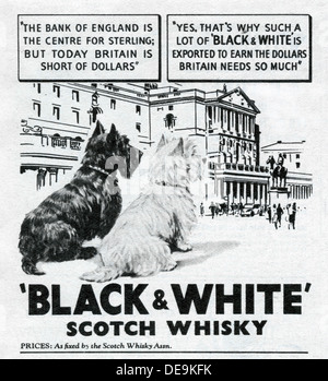 1947 advert for Black & White Scotch whisky Stock Photo