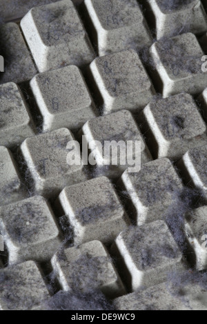 unused computer keyboard covered in dust and cobwebs Stock Photo