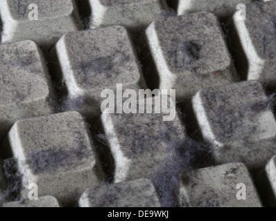 unused computer keyboard covered in dust and cobwebs Stock Photo