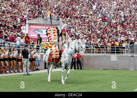 September 14, 2013: Florida State Seminolesmascot Chief Osceola and his horse Renegade before the game between the Florida State Seminoles and the Nevada Wolf Pack at Doak S. Campbell Stadium. Stock Photo