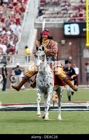 September 14, 2013: Florida State Seminoles mascot Chief Osceola and his horse Renegade before the game between the Florida State Seminoles and the Nevada Wolf Pack at Doak S. Campbell Stadium. Stock Photo