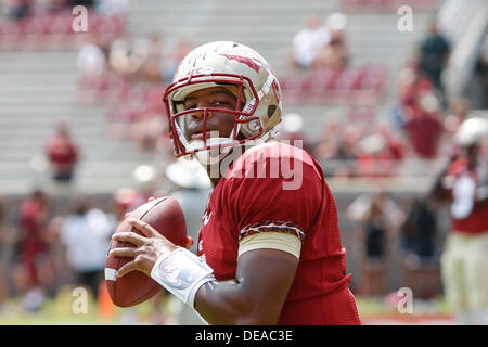 September 14, 2013: Florida State Seminoles quarterback Jameis Winston (5) warms up befoe the game between the Florida State Seminoles and the Nevada Wolf Pack at Doak S. Campbell Stadium. Stock Photo