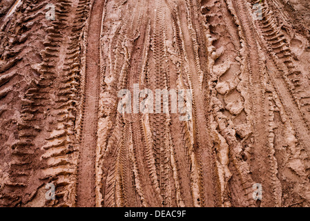 Tyre tracks in the mud. India Stock Photo