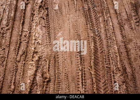 Tyre tracks in the mud. India Stock Photo