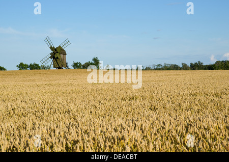 Old windmill in a wheat field Stock Photo