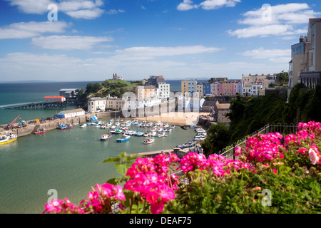 Tenby Harbour with flowers in foreground Tenby Pembrokeshire West Wales UK Stock Photo