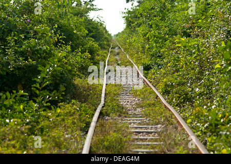 Deformed railway tracks of the disused rail link between Phnom Penh and Battambang, now used for the local bamboo train Stock Photo