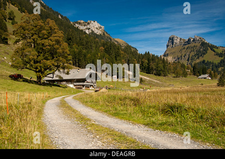 Dirt road leading to a mountain farm, in front of Schibe Mountain, bei Püfel, Justistal, Berner Oberland, Switzerland Stock Photo