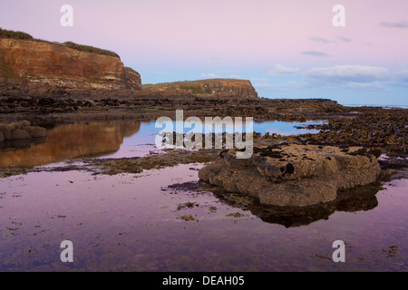 Sunset at the Petrified forest in Curio bay, South Island, New Zealand Stock Photo