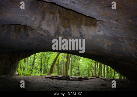 Pekarna cave, National natural monument, Moravsky Kras, Moravian Karst, Southern Moravia region, Czech Republic, Europe Stock Photo