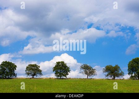 Landscape near Ryman, Melnik district, Stredocesky region, Czech Republic, Europe Stock Photo