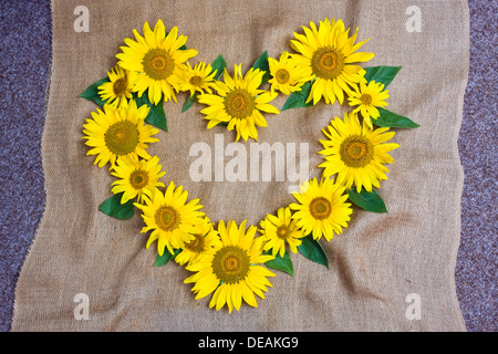 Heart made of sunflowers Stock Photo