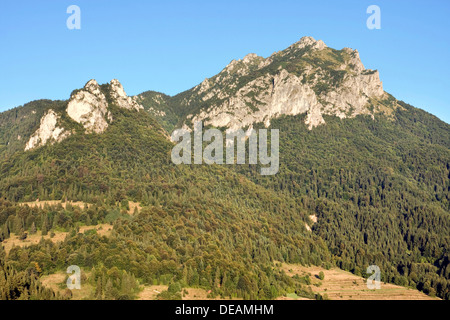 Velky Rozsutec peak, Mala Fatra National Park, Slovakia, Europe