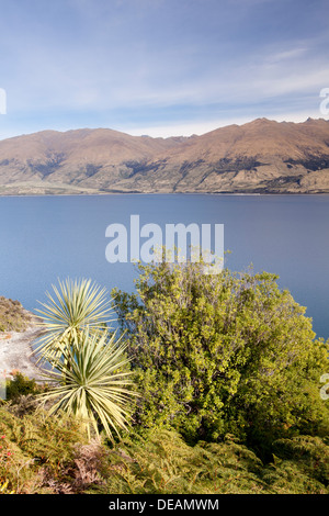 Wanaka South Island New Zealand Stock Photo - Alamy