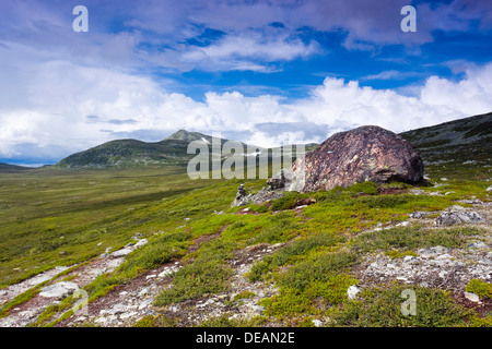 Landscape with Elgahogna peak, Femundsmarka National Park, Hedmark county, Norway, Scandinavia, Europe Stock Photo