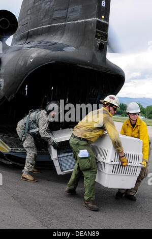 The US Army evacuates residents of Jamestown, Colorado following severe flooding that shut down major roads leading out of town September 14, 2013 in Boulder, CO. Stock Photo