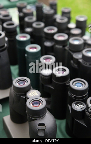 Binoculars; Opticron; Display; Cornwall; UK Stock Photo