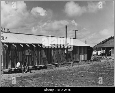 Ryer Island, Sacramento County, California. Housing in barracks for Japanese crew of asparagus packe . . . 521706 Stock Photo