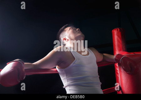 Tired boxer resting on the ropes in boxing ring, looking up Stock Photo