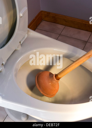 Plunger Unclogging Residential Toilet, USA Stock Photo