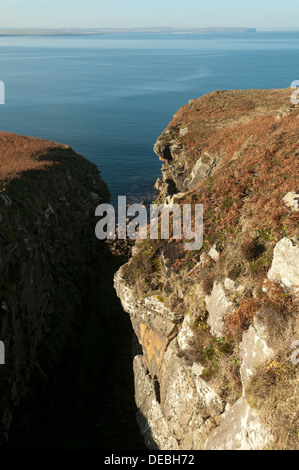 A geo (rock cleft) on Dunnet Head, near Thurso, Caithness, Scotland, UK Stock Photo