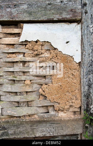 Original sixteenth-century wattle and daub (horsehair plaster) on an old timber frame house, Herefordshire, UK. The wattle consists of split oak laths Stock Photo