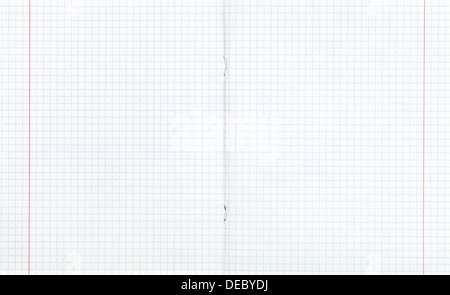 background from notebook squared double-page spread with red margin Stock Photo