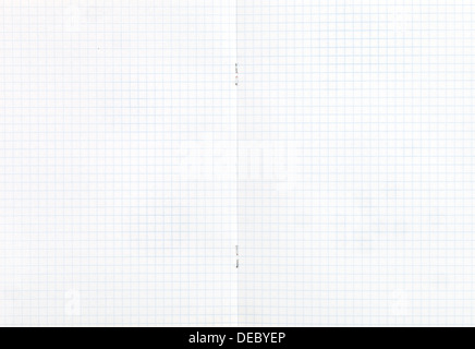 background from notebook squared double-page spread Stock Photo