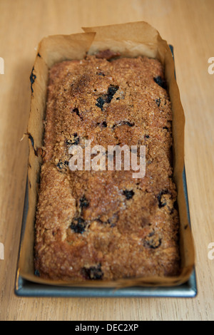 Homemade blackberry and apple loaf, fresh from the oven and still in the tin. Stock Photo
