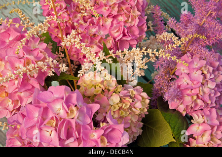 pink hydrangea and astilbe Stock Photo