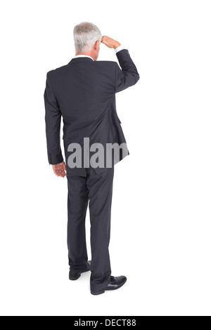 Rear view of mature businessman looking away Stock Photo