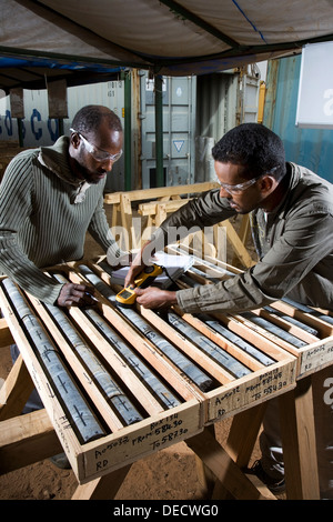 Technical logging and measuring of core samples in core shed by exploration geologists, surface gold mine, Mauritania, NW Africa Stock Photo