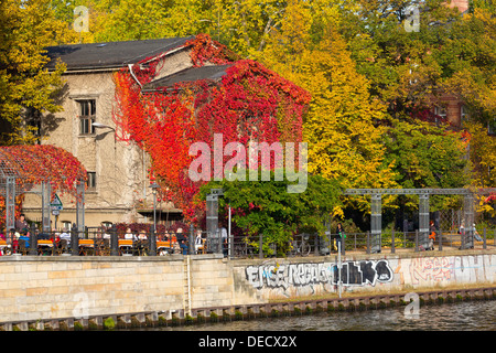 Fall Foliage on the Banks of the River Spree in Berlin