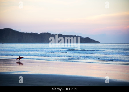 Lone surfer on Nosara beach, Costa Rica Stock Photo