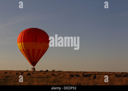 Hot Air Balloon Safari in Masai Mara, Kenya, Africa Stock Photo