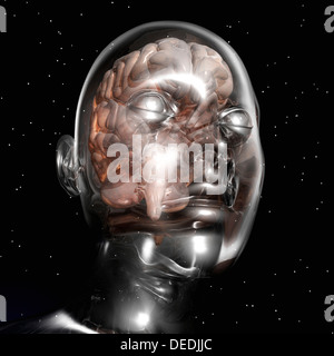 Digital visualization of a human brain Stock Photo - Alamy